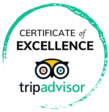 Trip Advisor