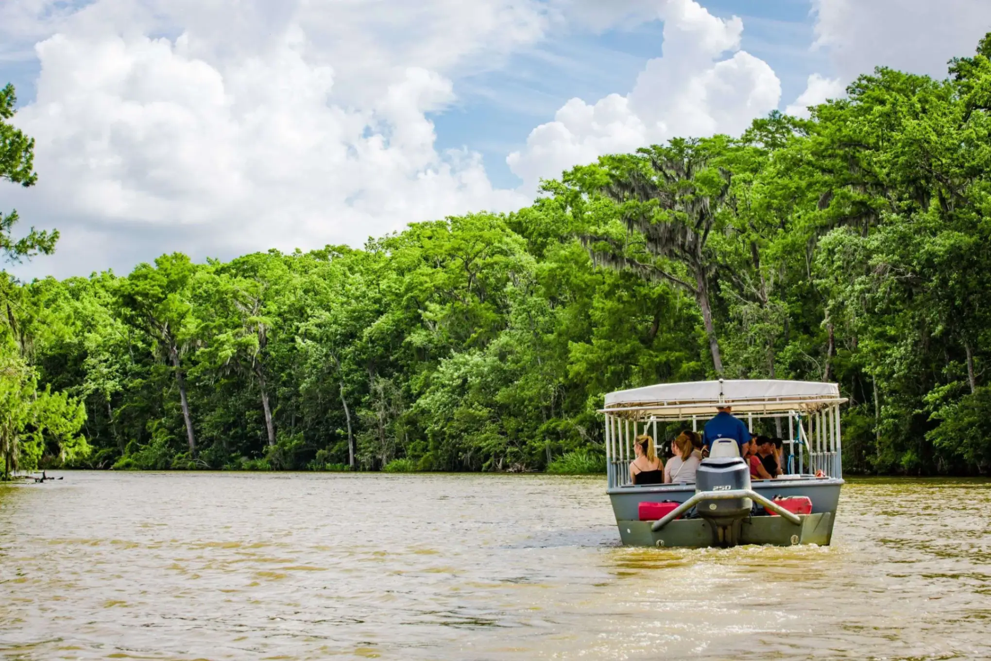 Pearl River Swamp tours
